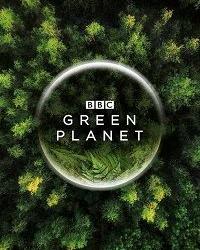 Зелёная планета (2022) смотреть онлайн